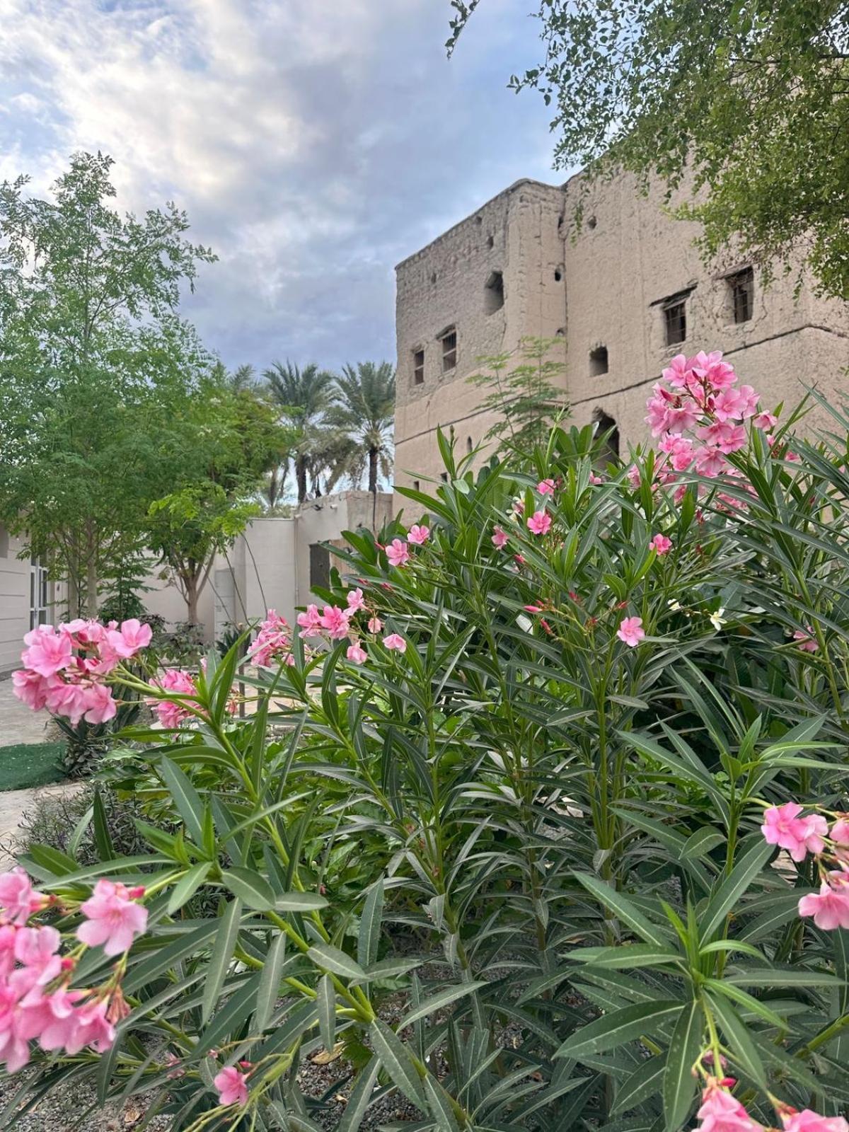 Villa Al- Aqyr Rest Garden أستراحة حارة العقر à Nizwa Extérieur photo